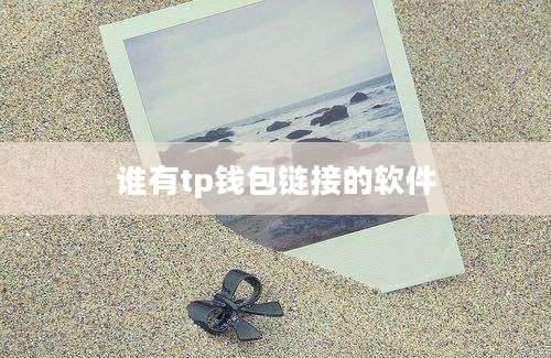 谁有tp钱包链接的软件
