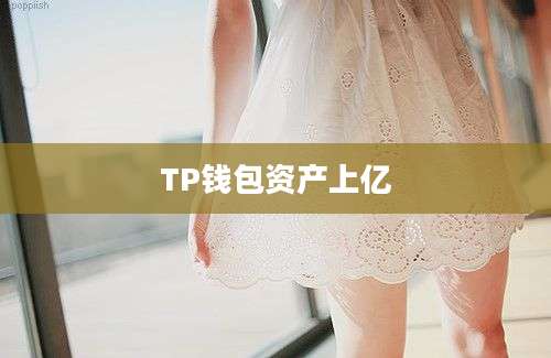 TP钱包资产上亿