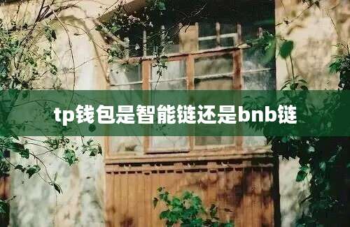 tp钱包是智能链还是bnb链
