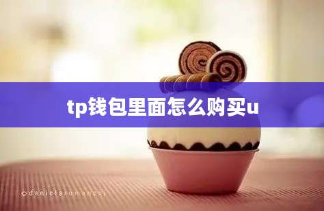 tp钱包里面怎么购买u