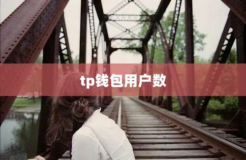 tp钱包用户数