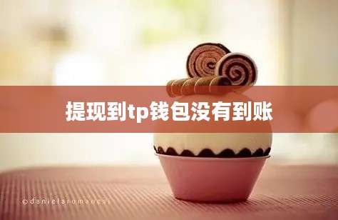 提现到tp钱包没有到账