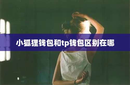 小狐狸钱包和tp钱包区别在哪