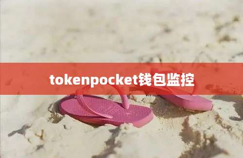 tokenpocket钱包监控