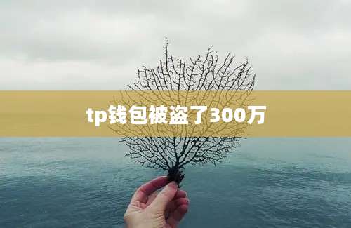 tp钱包被盗了300万