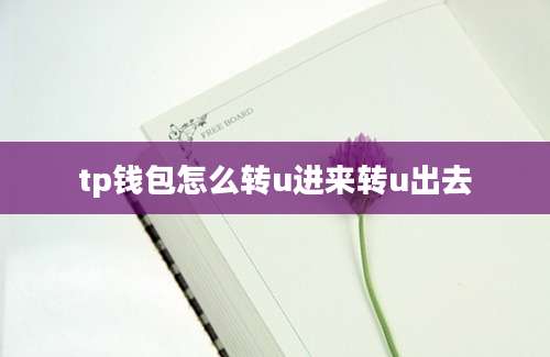 tp钱包怎么转u进来转u出去
