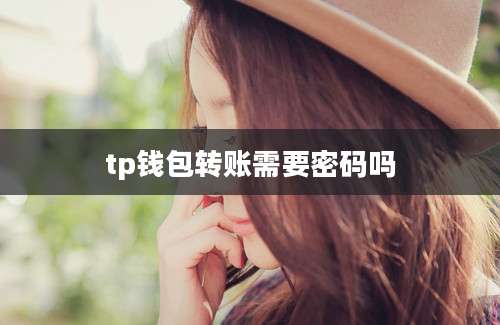 tp钱包转账需要密码吗