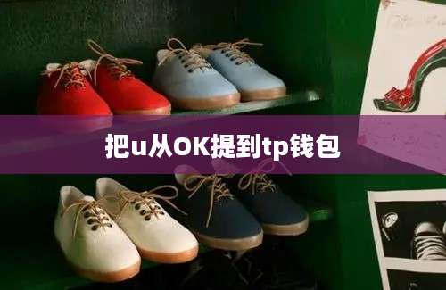 把u从OK提到tp钱包