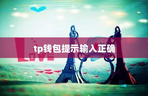 tp钱包提示输入正确