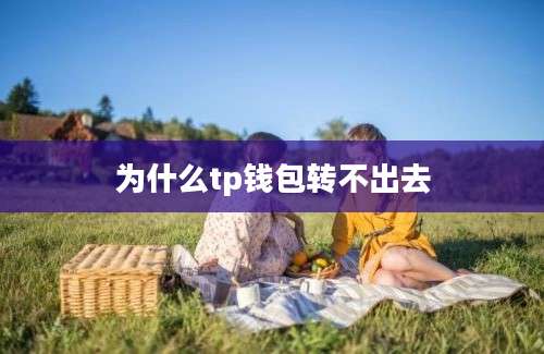 为什么tp钱包转不出去
