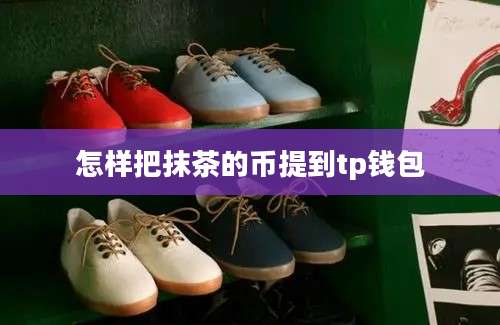 怎样把抹茶的币提到tp钱包