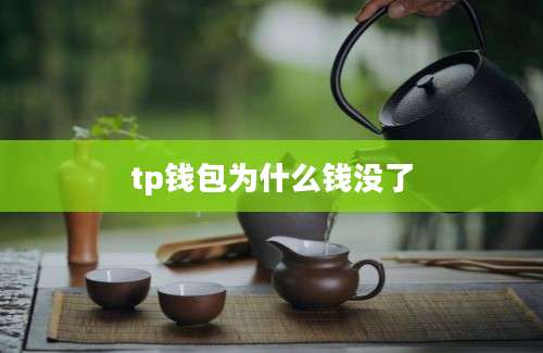 tp钱包为什么钱没了