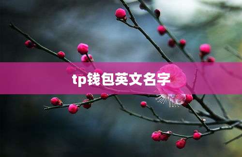 tp钱包英文名字