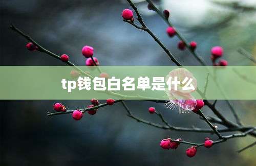 tp钱包白名单是什么