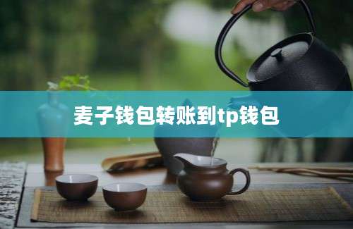 麦子钱包转账到tp钱包