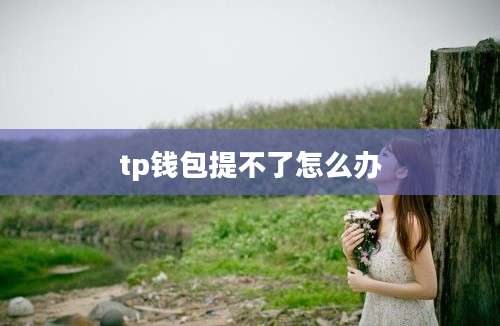 tp钱包提不了怎么办