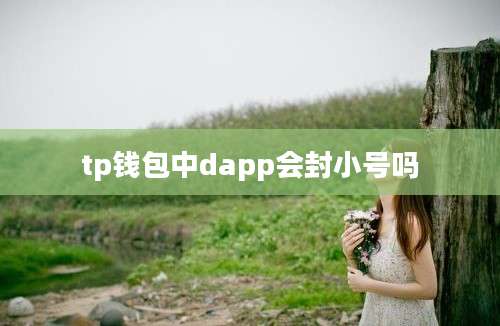 tp钱包中dapp会封小号吗