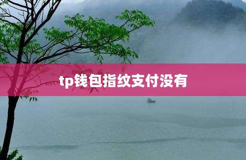 tp钱包指纹支付没有