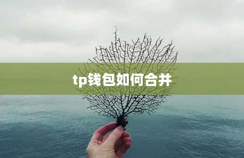tp钱包如何合并