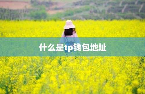 什么是tp钱包地址