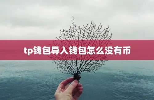 tp钱包导入钱包怎么没有币