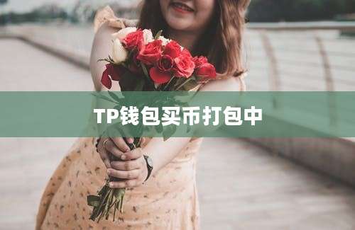 TP钱包买币打包中