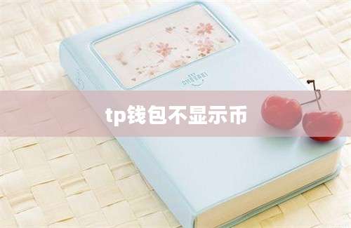 tp钱包不显示币