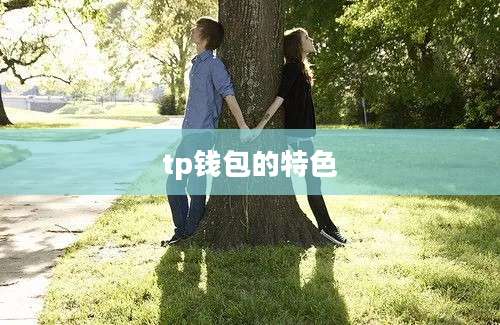 tp钱包的特色