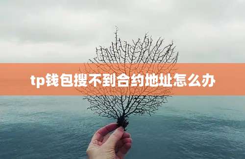 tp钱包搜不到合约地址怎么办