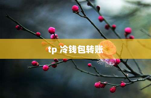 tp 冷钱包转账