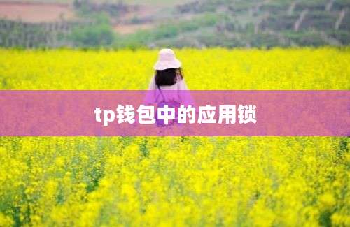 tp钱包中的应用锁