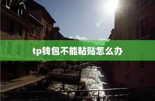 tp钱包不能粘贴怎么办