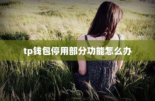 tp钱包停用部分功能怎么办