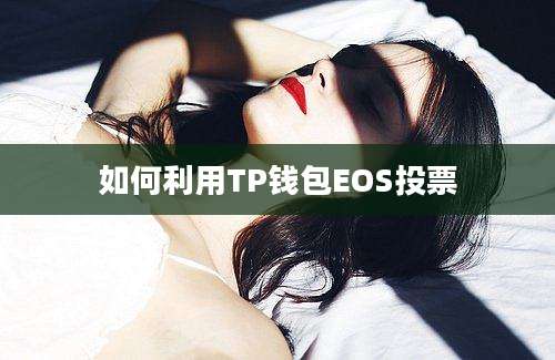 如何利用TP钱包EOS投票