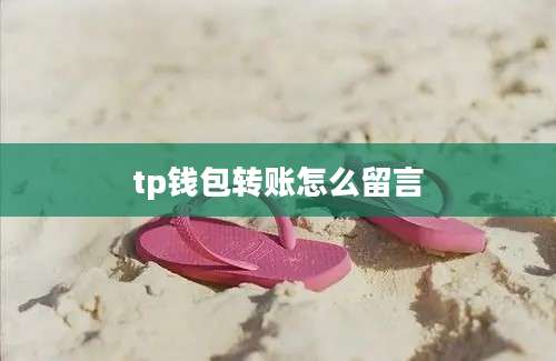tp钱包转账怎么留言