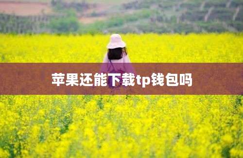苹果还能下载tp钱包吗