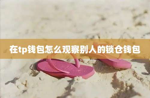 在tp钱包怎么观察别人的锁仓钱包