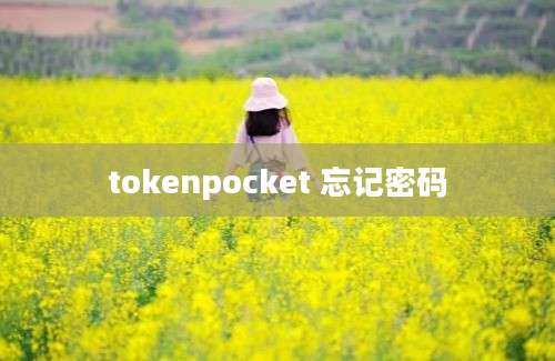 tokenpocket 忘记密码