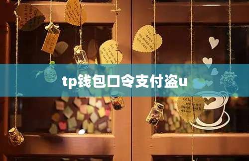 tp钱包口令支付盗u