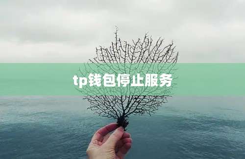 tp钱包停止服务