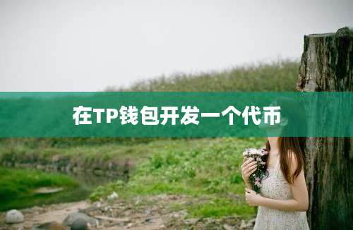 在TP钱包开发一个代币