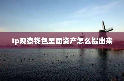tp观察钱包里面资产怎么提出来
