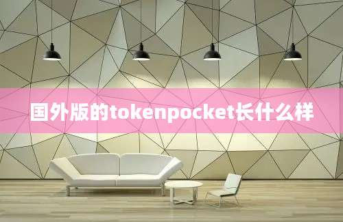 国外版的tokenpocket长什么样