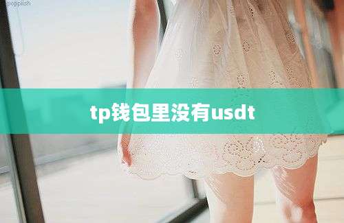 tp钱包里没有usdt