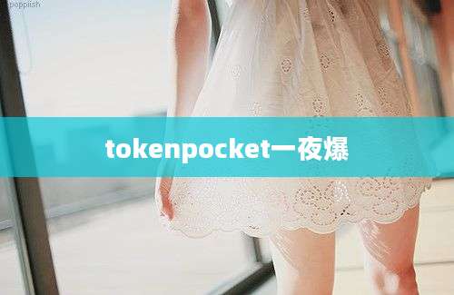 tokenpocket一夜爆