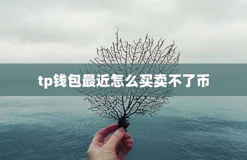 tp钱包最近怎么买卖不了币
