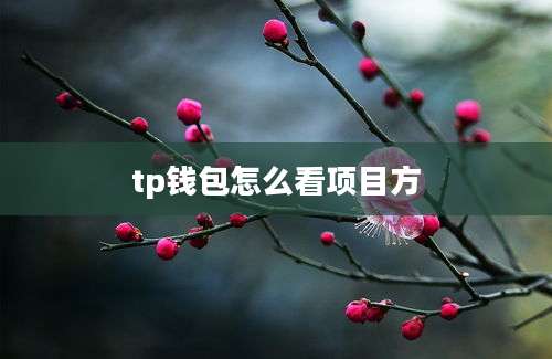 tp钱包怎么看项目方