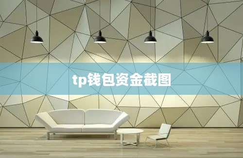 tp钱包资金截图