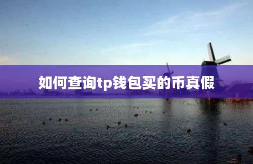 如何查询tp钱包买的币真假