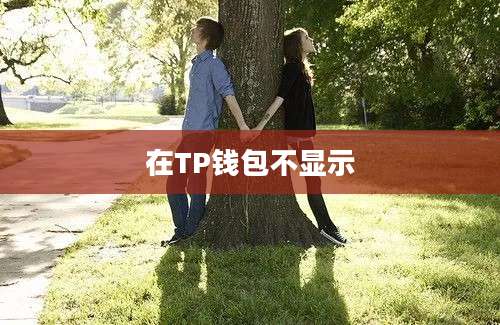 在TP钱包不显示